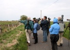 Margot Klingers : VWG vogelreis Oost Duitsland mei 2010, m.klingers